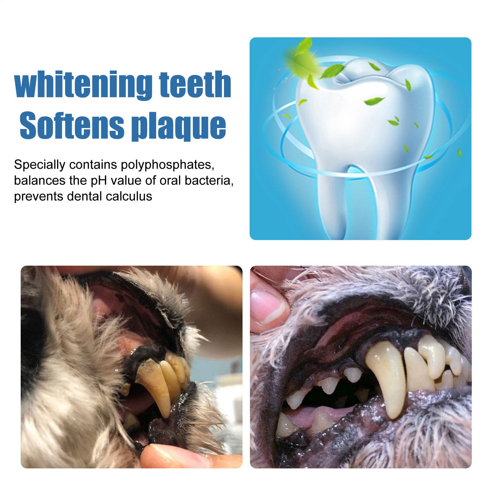 애완동물 구강 치석 제거 스프레이 딥 클렌징 황색 치아 - Teeth Whitening Yellow Teeth 리뷰 및 가격