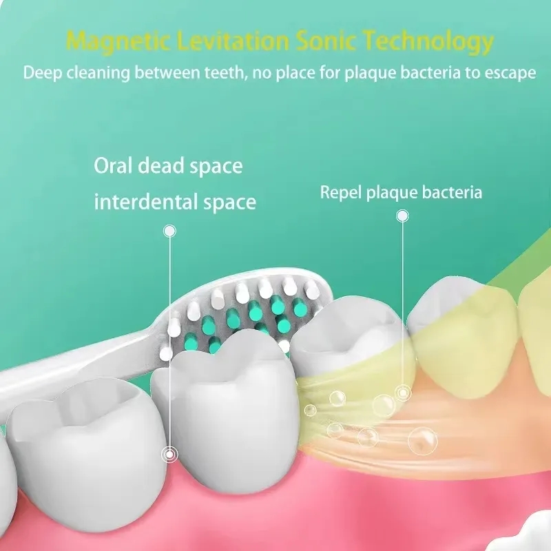 성인용 소닉 전동 칫솔 청소 브러시 ​​자동 충전식 부 - Electric Toothbrush Sonic 리뷰 및 가격