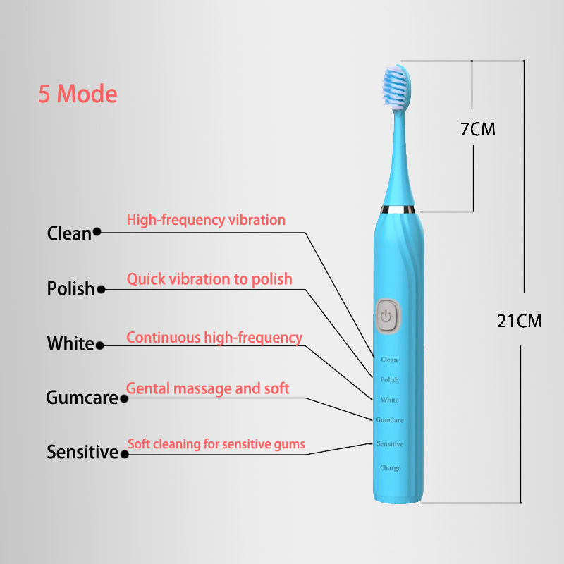 성인용 소닉 전동 칫솔 청소 브러시 ​​자동 충전식 부 - Electric Toothbrush Sonic 리뷰 및 가격