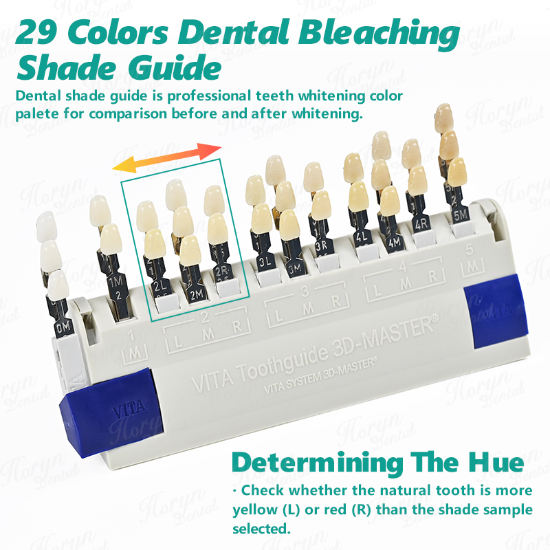 비타 3D 마스터 치과 연구소 표백 색상 가이드 29가 - Teeth Whitening Clinic 리뷰 및 가격