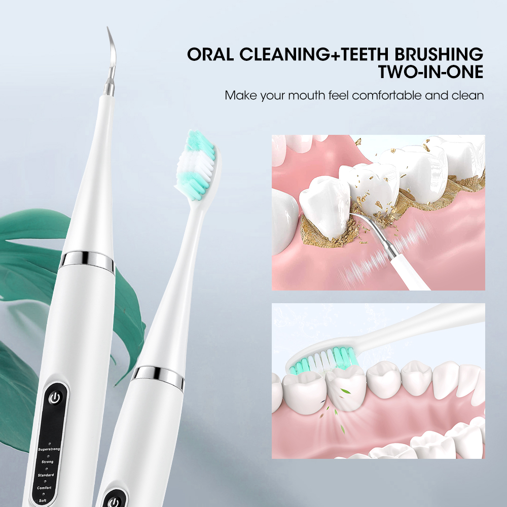 전기 치아 클리너 소닉 치과 스케일러, 치석 플라크 얼 - Electric Toothbrush Sonic 리뷰 및 가격